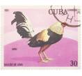 Почтовая марка 30 сентаво 1981 года Куба «Бойцовские петухи — Гиро» (Артикул: K12-74817) — Фото №1