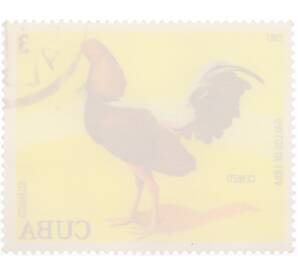 Почтовая марка 3 сентаво 1981 года Куба «Бойцовские петухи — Сенизо»