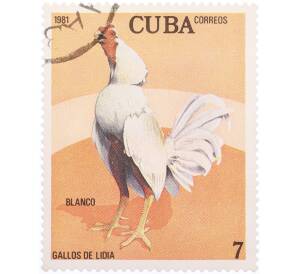 Почтовая марка 7 сентаво 1981 года Куба «Бойцовские петухи — Бланко»