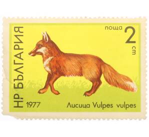 Почтовая марка 2 стотинки 1977 года Болгария «Красная лиса» — Фото №1