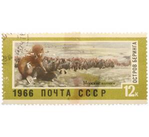 Почтовая марка 12 копеек 1966 года «Остров Беринга — Морские котики» — Фото №1