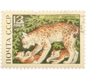 Почтовая марка 12 копеек 1969 года «Беловежская пуща — Рысь» — Фото №1