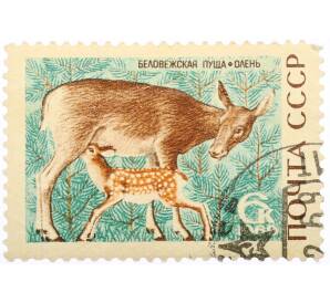 Почтовая марка 6 копеек 1969 года «Беловежская пуща — Олень» — Фото №1