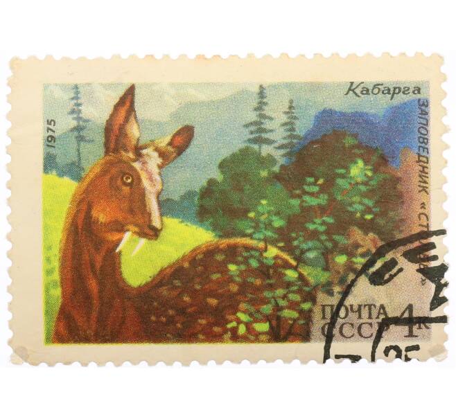 Почтовая марка 4 копейки 1975 года «Заповедник Столбы — Кабарга» (Артикул: K10-10511) — Фото №1