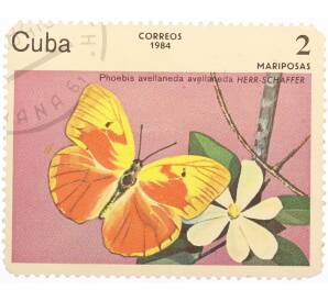 Почтовая марка 2 сентаво 1984 года Куба «Бабочки — Фебис авелланеда» — Фото №1