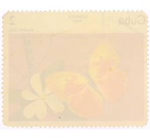 Почтовая марка 2 сентаво 1984 года Куба «Бабочки — Фебис авелланеда» — Фото №2