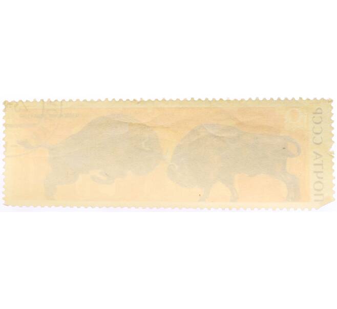 Почтовая марка 10 копеек 1969 года «Беловежская пуща — Зубр» (Артикул: K10-10533) — Фото №2