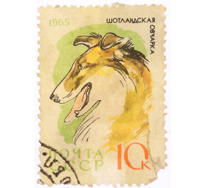 Почтовая марка 10 копеек 1965 года «Шотландская овчарка» (Артикул: K10-10534) — Фото №1