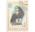 Почтовая марка 4 копеек 1982 года «Международный орнитологический конгресс — Белоплечий орлан» (Артикул: K10-10537) — Фото №1