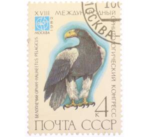 Почтовая марка 4 копеек 1982 года «Международный орнитологический конгресс — Белоплечий орлан» — Фото №1