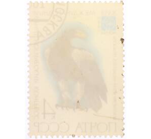 Почтовая марка 4 копеек 1982 года «Международный орнитологический конгресс — Белоплечий орлан» — Фото №2