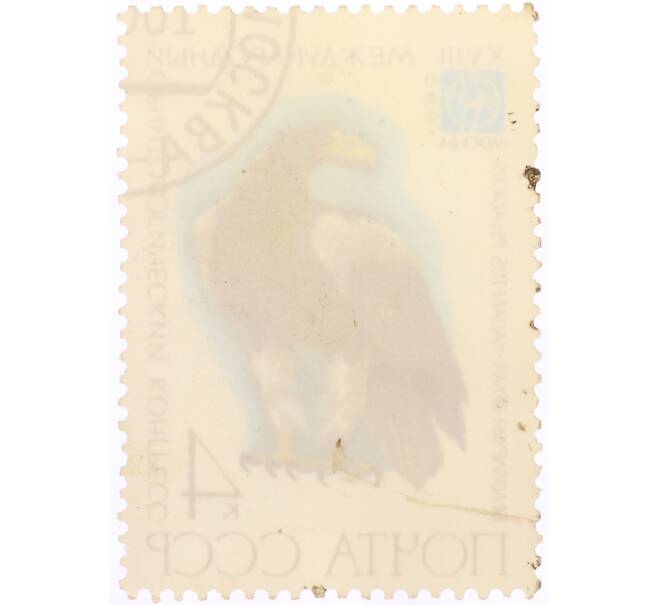 Почтовая марка 4 копеек 1982 года «Международный орнитологический конгресс — Белоплечий орлан» (Артикул: K10-10537) — Фото №2