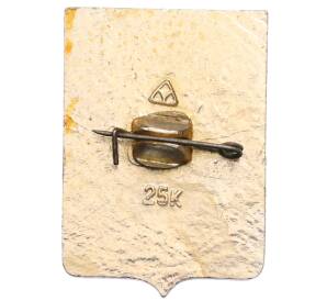 Значок «Герб города Шумерля» — Фото №2