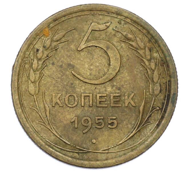 Монета 5 копеек 1955 года (Артикул: T11-32793) — Фото №1
