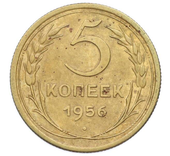 Монета 5 копеек 1956 года (Артикул: T11-32794) — Фото №1