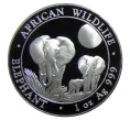 Монета 100 шиллингов 2014 года Сомали «Фауна Африки — Африканский слон» (Артикул M2-33819)