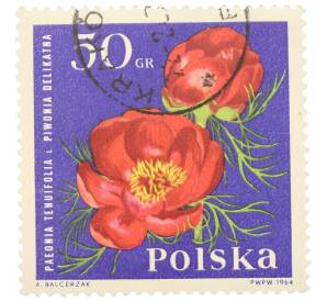 Почтовая марка 50 грошей 1964 года Польша «Садовые цветы — Пион папоротниколистный (Paeonia tenuifolia)»