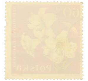 Почтовая марка 60 грошей 1964 года Польша «Садовые цветы — Королевская лилия (Lilium regale)»