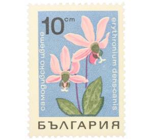 Почтовая марка 10 стотинок 1968 года Болгария «Цветы — Кандык европейский (Erythronium denscanis)»