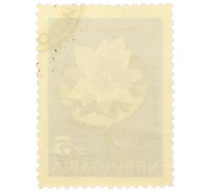 Почтовая марка 5 стотинок 1963 года Болгария «Кувшинка белая»