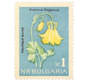 Почтовая марка 1 стотинка 1963 года Болгария «Аквилегия золотистая»