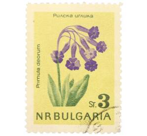 Почтовая марка 3 стотинки 1963 года Болгария «Первоцвет богов»