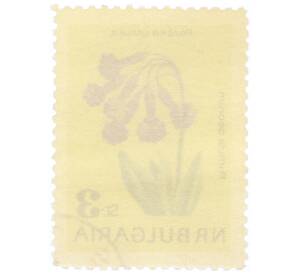 Почтовая марка 3 стотинки 1963 года Болгария «Первоцвет богов»