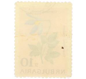 Почтовая марка 10 стотинок 1963 года Болгария «Ломонос альпийский»