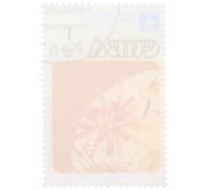 Почтовая марка 1 сентаво 1978 года Куба «Кактус Melocactus guitarti»