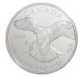 Монета 5 долларов 2014 года Канада «Хищные птицы — Сапсан» (Артикул M2-33834)