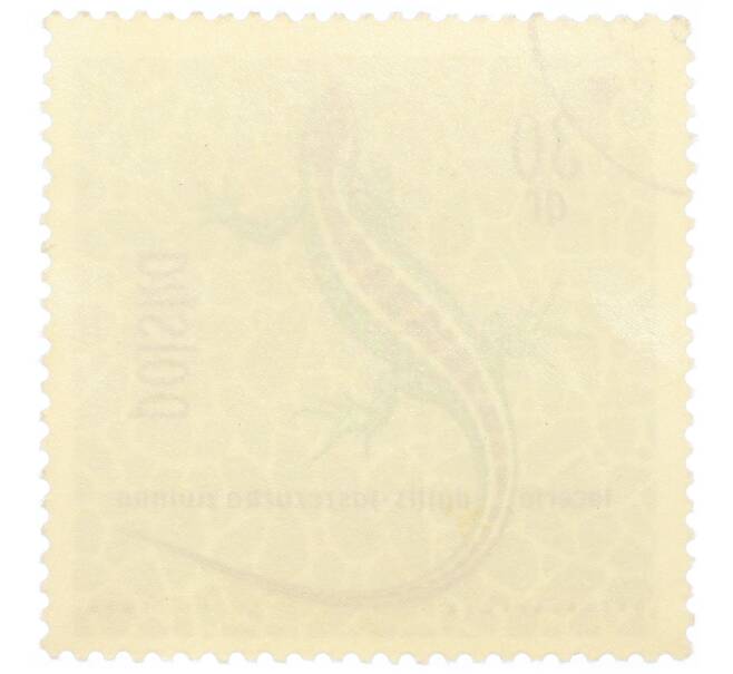 Почтовая марка 30 грошей 1963 года Польша «Охраняемые рептилии и амфибии — Прыткая ящерица» (Артикул: P2-1019) — Фото №2