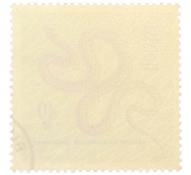 Почтовая марка 40 грошей 1963 года Польша «Охраняемые рептилии и амфибии — Обыкновенная медянка» (Артикул: P2-1026) — Фото №2