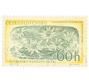 Почтовая марка 60 геллеров 1957 года Чехословакия «Национальный парк Татры — Эдельвейс альпийский»