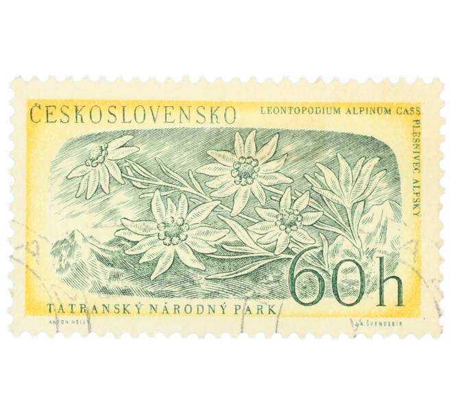 Почтовая марка 60 геллеров 1957 года Чехословакия «Национальный парк Татры — Эдельвейс альпийский» (Артикул: P2-1055) — Фото №1