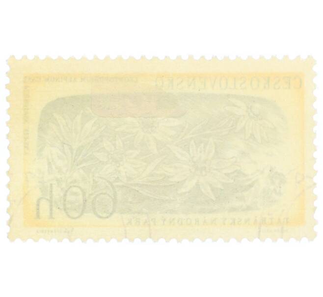 Почтовая марка 60 геллеров 1957 года Чехословакия «Национальный парк Татры — Эдельвейс альпийский» (Артикул: P2-1055) — Фото №2