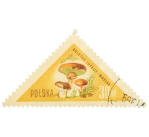 Почтовая марка 30 грошей 1959 года Польша «Грибы — Масленок обыкновенный»