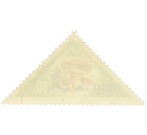 Почтовая марка 60 грошей 1959 года Польша «Грибы — Рыжик настоящий»