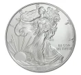 Монета 1 доллар 2019 года США «Шагающая Свобода» (Артикул M2-33853)
