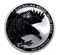 Монета 1 доллар 2020 года Австралия — Австралийский Клинохвостый Орел (Артикул M2-33881)