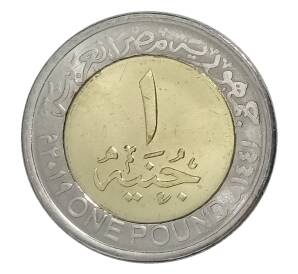 1 фунт 2019 года  Египет — 80 лет Министерству социальной солидарности — Фото №2
