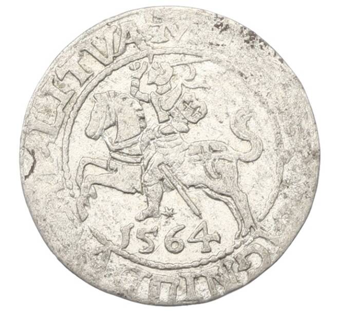 Монета Полугрош 1564 года Литва (Артикул: K12-75264) — Фото №1