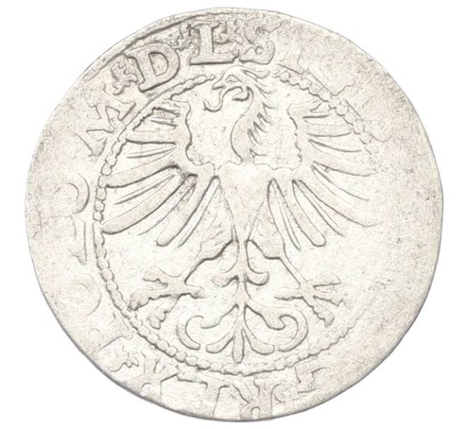 Монета Полугрош 1564 года Литва (Артикул: K12-75264) — Фото №2