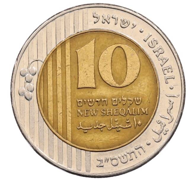 Монета 10 новых шекелей 2002 года (JE 5762) Израиль (Артикул: T11-33502) — Фото №1