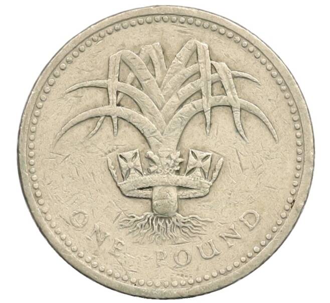 Монета 1 фунт 1985 года Великобритания (Артикул: T11-33504) — Фото №1