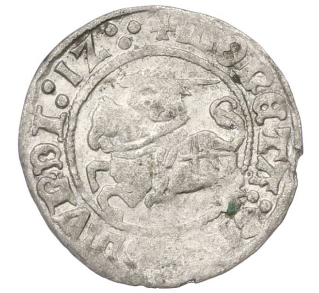 Монета 1/2 гроша 1512 года Литва (Артикул: K7-0011) — Фото №1