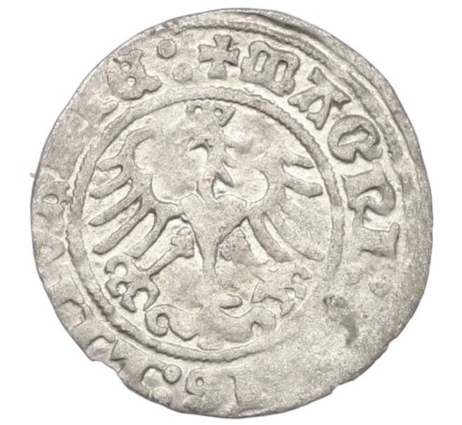 Монета 1/2 гроша 1512 года Литва (Артикул: K7-0011) — Фото №2