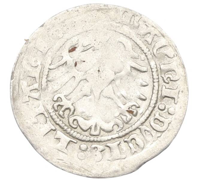 Монета 1/2 гроша 1513 года Литва (Артикул: K7-0012) — Фото №2