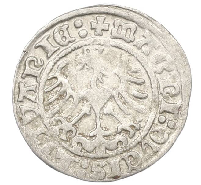 Монета 1/2 гроша 1513 года Литва (Артикул: K7-0014) — Фото №2
