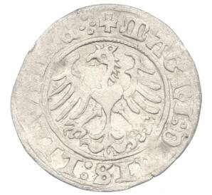 1/2 гроша 1513 года Литва — Фото №2