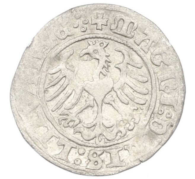 Монета 1/2 гроша 1513 года Литва (Артикул: K7-0015) — Фото №2